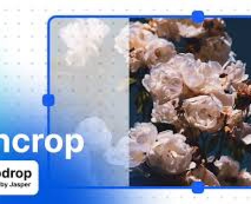 uncrop uncrop